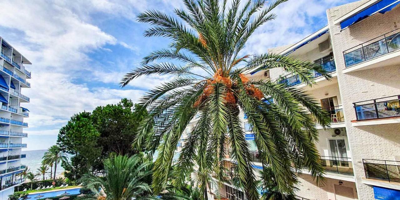 Skol Apartments Marbella Exteriér fotografie